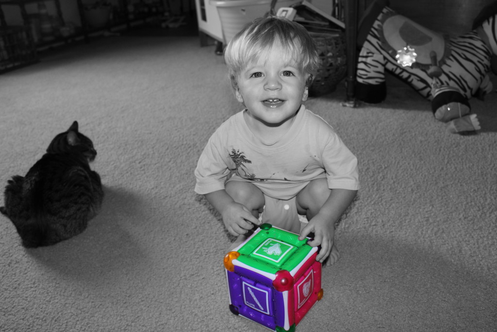 150152 - Canon - Canon EOS REBEL T3i-picsay